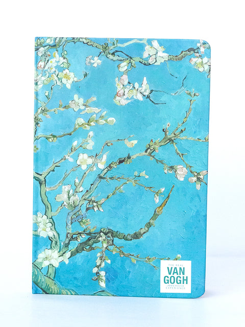 Almond Blossom Diary