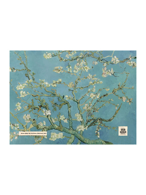 Almond Blossom Printed Canvas