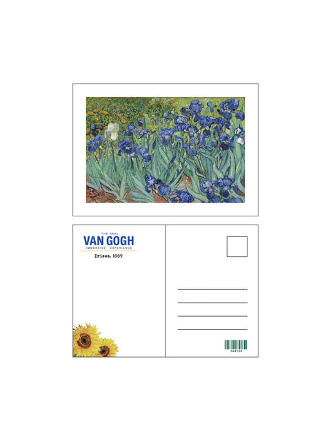 Irises, 1889 Post Card